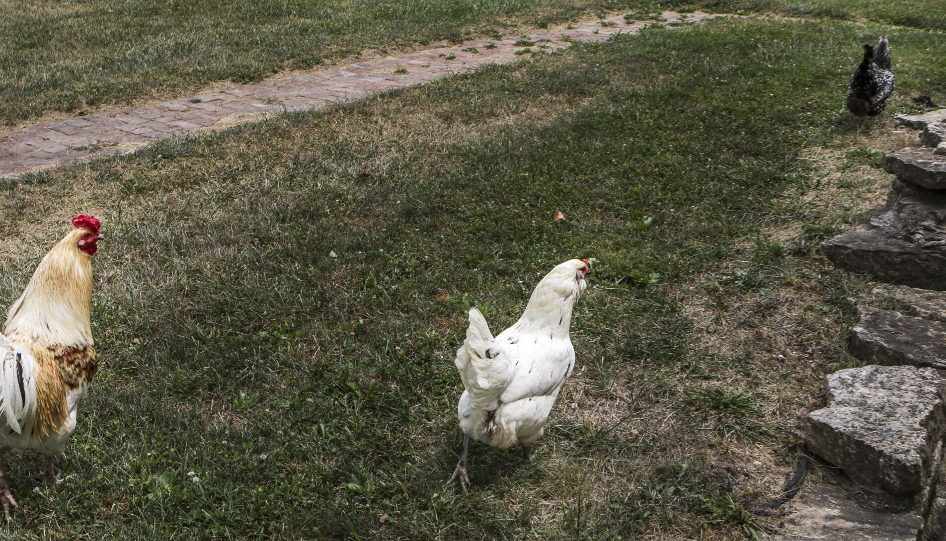 At home in Leslie, Mo.